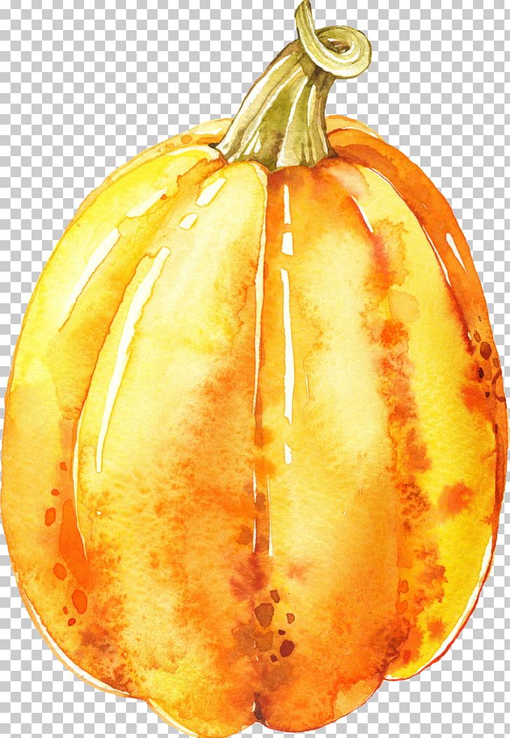 Pumpkin Calabaza Vegetarian Cuisine Gourd Winter Squash PNG, Clipart, Cauliflower, Commodity, Cucumber Gourd And Melon Family, Cucurbita, Fall Free PNG Download