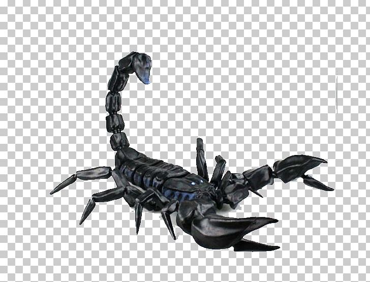 Scorpion 3D Printing 3D Modeling 3D Computer Graphics PNG, Clipart, 3d Computer Graphics, 3d Printing, Arachnid, Arthropod, Background Black Free PNG Download