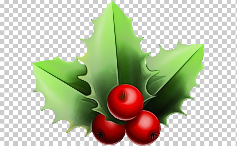 Holly PNG, Clipart, American Holly, Holly, Hollyleaf Cherry, Leaf, Paint Free PNG Download