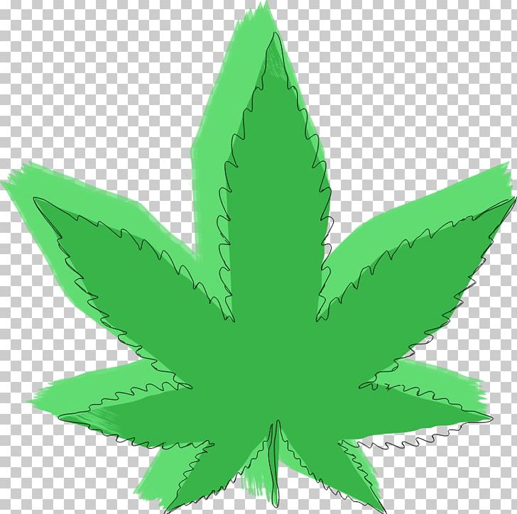 Medical Cannabis Hemp Drug Leaf PNG, Clipart, Cannabis, Drawing, Drug, Grass, Hemp Free PNG Download