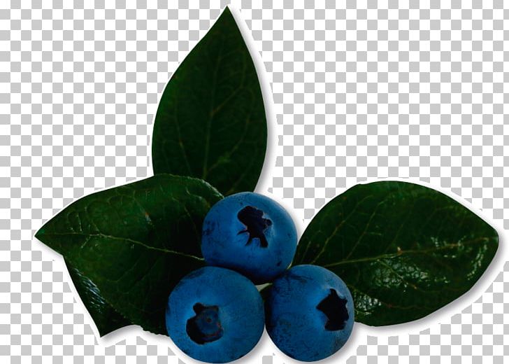 Bilberry Blueberry Product Leaf PNG, Clipart, Bilberry, Blueberry, Blueberry Fruit, Fruit, Leaf Free PNG Download