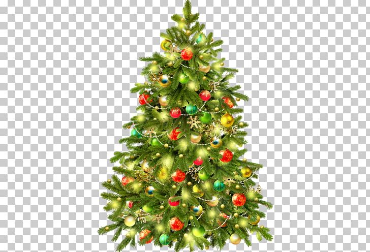 Christmas Tree Candy Cane PNG, Clipart, Candy Cane, Christmas, Christmas Card, Christmas Decoration, Christmas Ornament Free PNG Download