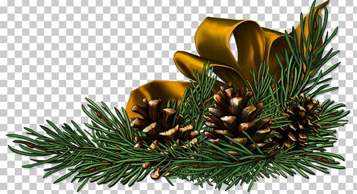 Christmas Tree Desktop Widescreen PNG, Clipart, Advent, Bleu, Christmas, Christmas Decoration, Christmas Ornament Free PNG Download