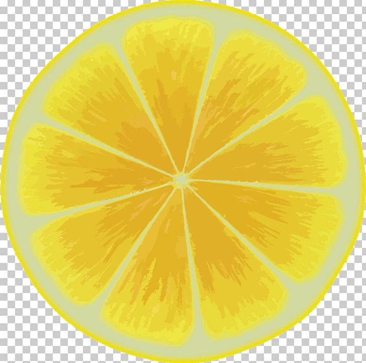Lemon Citron Citric Acid Circle PNG, Clipart, Acid, Circle, Citric Acid ...