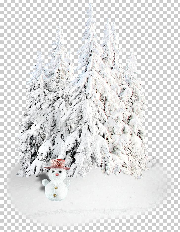 New Year Christmas Holiday Snegurochka Ded Moroz PNG, Clipart, Branch, Christmas, Christmas Decoration, Christmas Ornament, Christmas Tree Free PNG Download