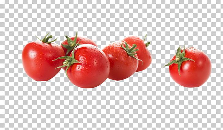 Cherry Tomato Fruit Computer File PNG, Clipart, Bush Tomato, Cherry, Cherry Blossom, Diet Food, Encapsulated Postscript Free PNG Download