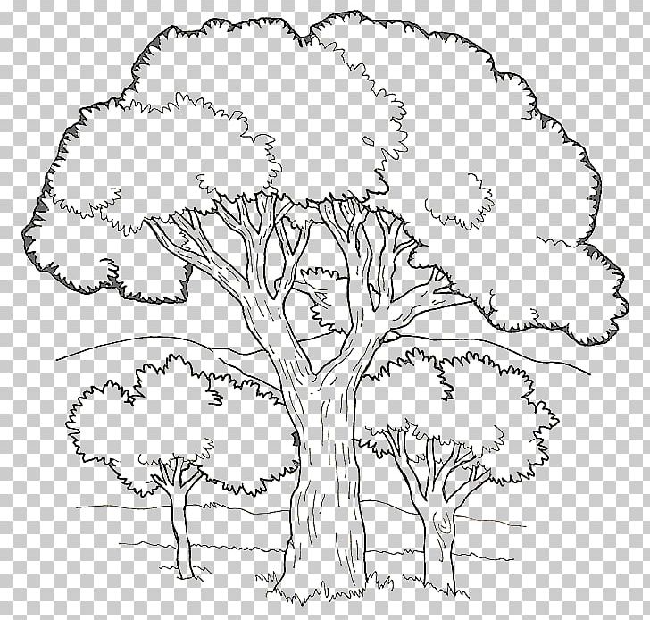 Coloring Book Colouring Pages Fruit Tree Child PNG, Clipart, Adult, Area, Art, Artwork, Branch Free PNG Download