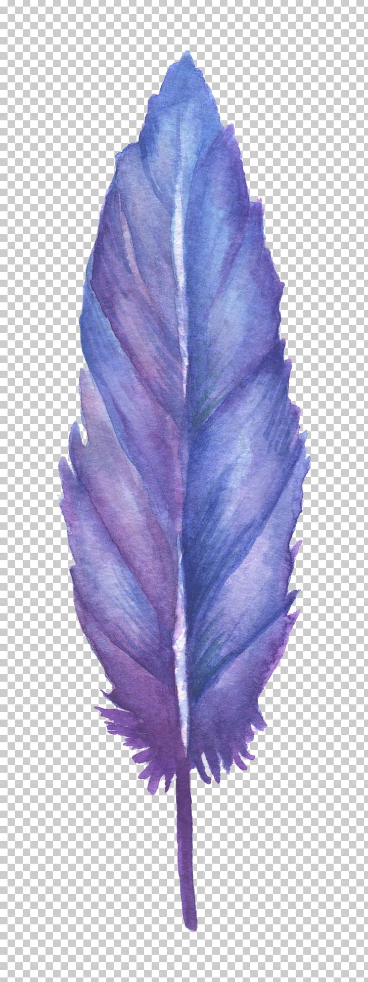 Feather Blue Drawing PNG, Clipart, Animals, Blue, Blue Abstract, Blue Background, Blue Flower Free PNG Download