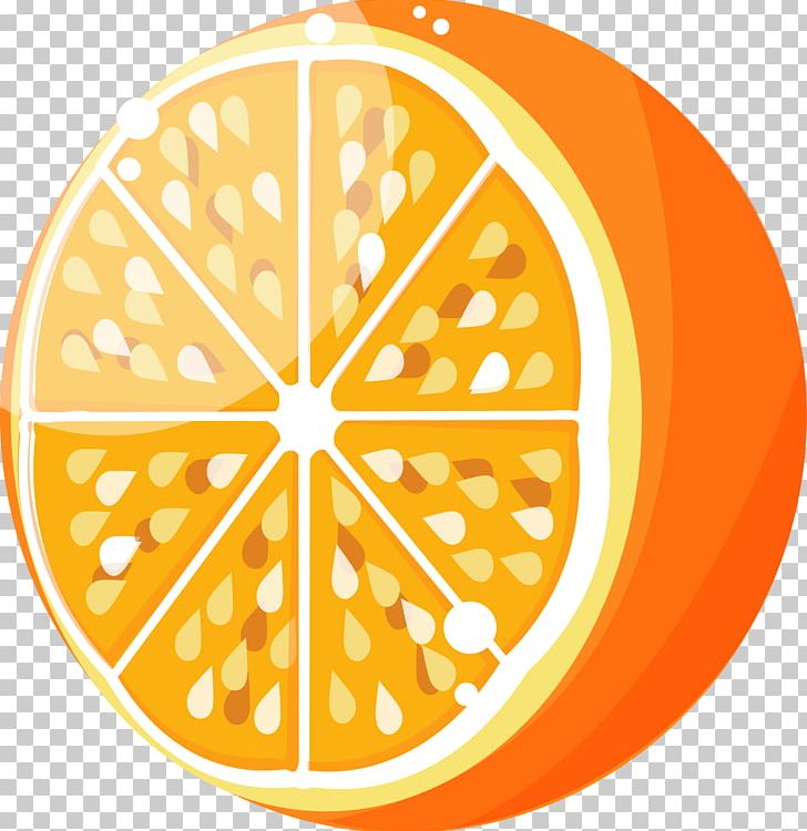 Fruit Orange Juice PNG, Clipart, Area, Circle, Computer Icons, Food, Fruit Free PNG Download