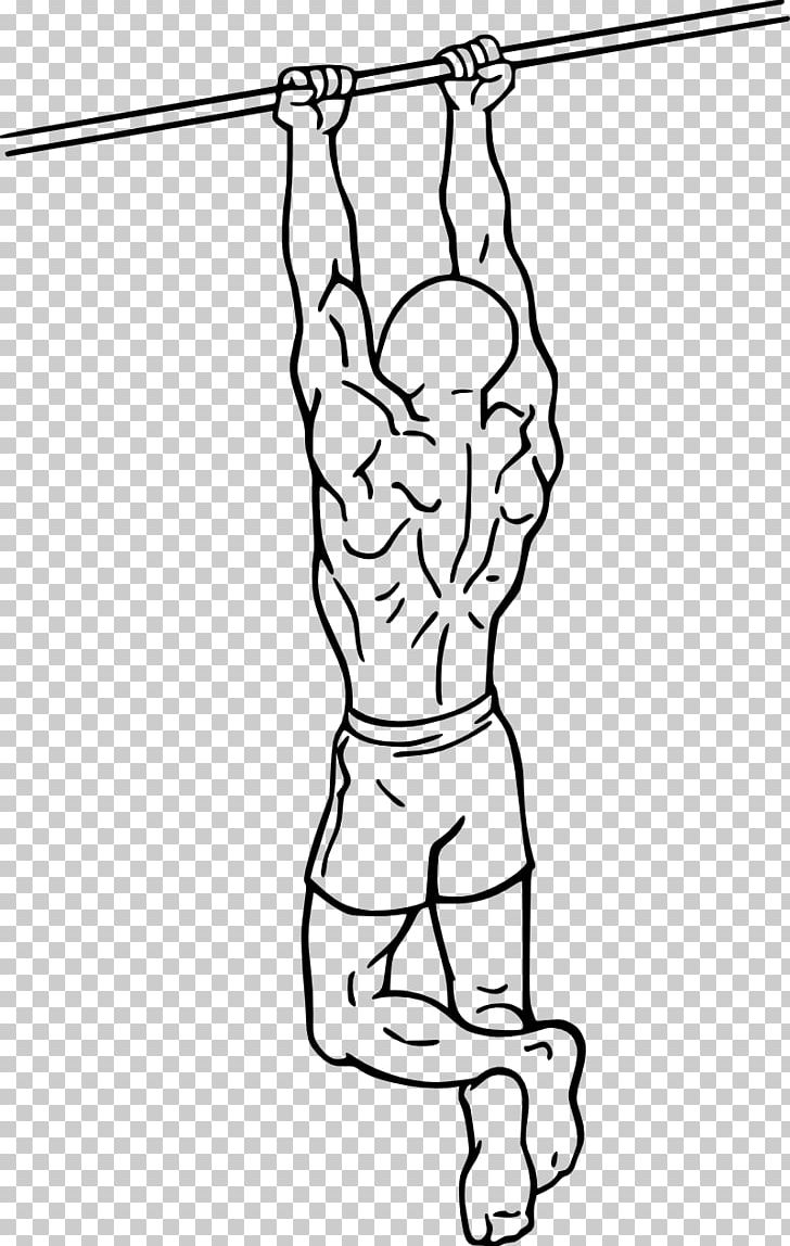 Chin-up Pull-up Biceps Curl Exercise PNG, Clipart, Abdomen, Angle, Area, Arm, Art Free PNG Download