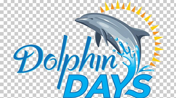 Dolphin Days SeaWorld Orlando SeaWorld San Diego Universal Orlando PNG, Clipart, Blue, Bottlenose Dolphin, Brand, Cetacea, Dolphin Free PNG Download