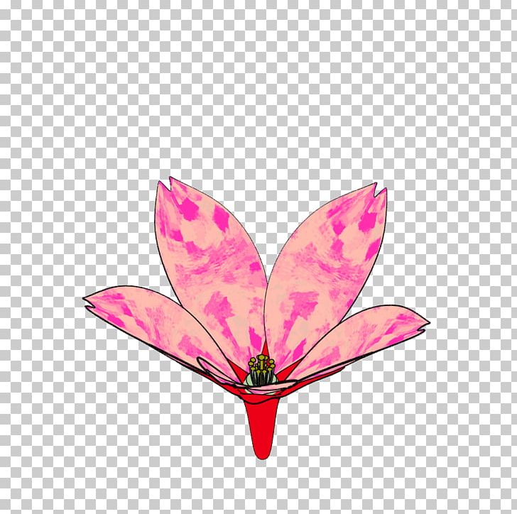 Flowering Plant Petal Leaf Pink M PNG, Clipart, Butterfly, Flower, Flowering Plant, Guigang, Insect Free PNG Download