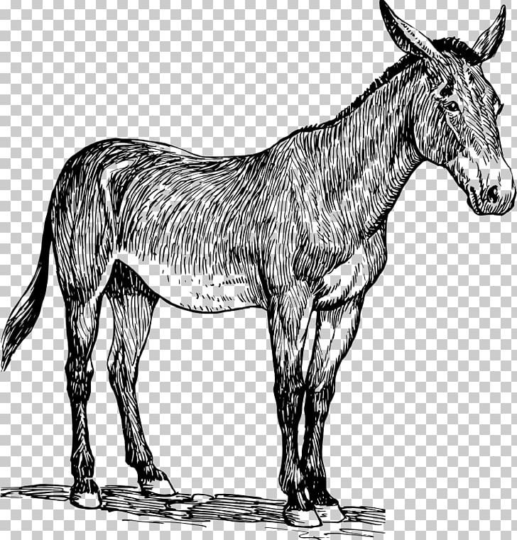 Mule Donkey PNG, Clipart, Animals, Black And White, Drawing, Fauna, Fictional Character Free PNG Download