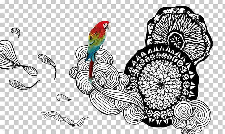 Amazon Parrot Drawing PNG, Clipart, Animals, Art, Beak, Bird, Clouds Free PNG Download