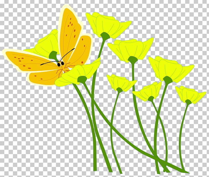 Flower Yellow PNG, Clipart, Brush Footed Butterfly, Butterfly, Cut Flowers, Flora, Floral Design Free PNG Download