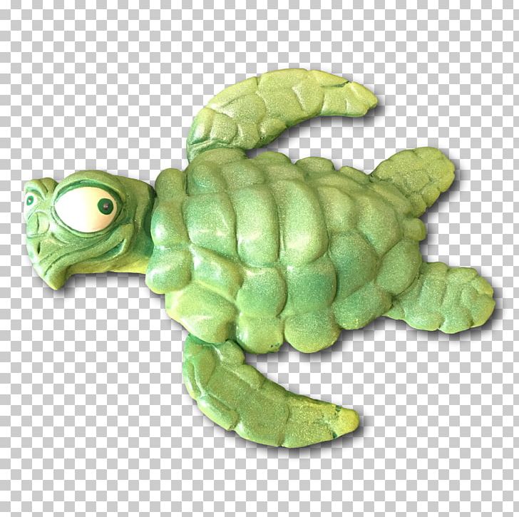 Green Sea Turtle Tortoise Flipper PNG, Clipart, Animals, Eye, Flipper, Frankie, Green Sea Turtle Free PNG Download