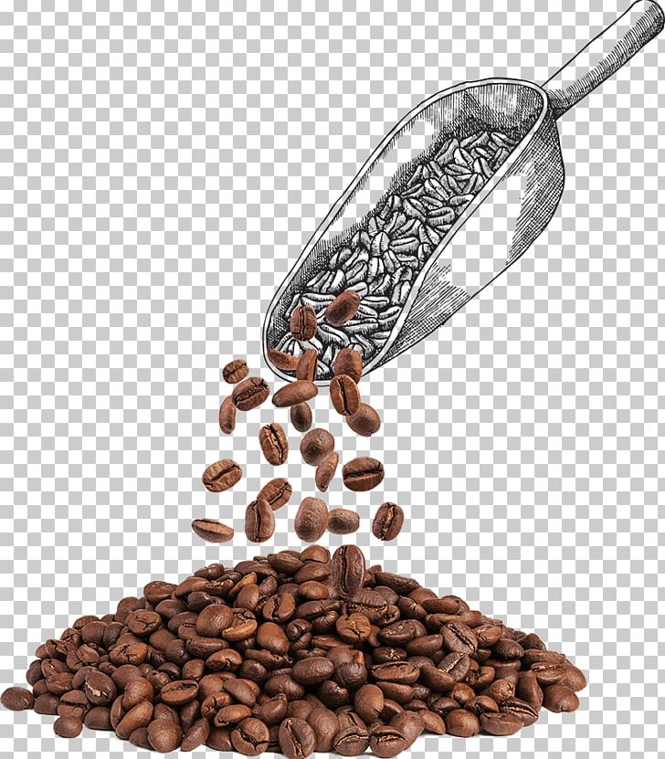 Jamaican Blue Mountain Coffee Cafe Instant Coffee Kona Coffee PNG, Clipart, Bean, Bistro, Cafe, Caffeine, Cocoa Bean Free PNG Download