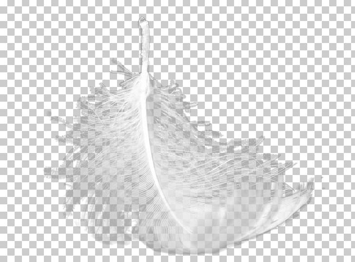 Sports Car White Feather PNG, Clipart, Animals, Black, Black And White, Car, Decoration Free PNG Download