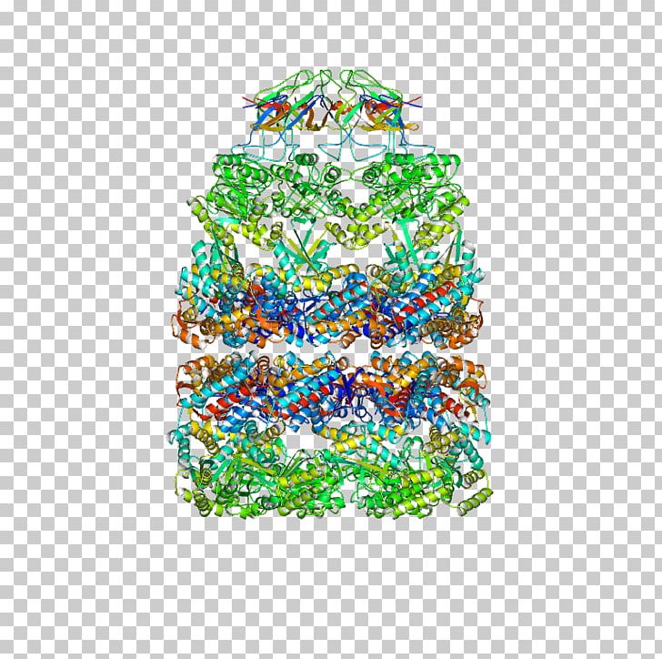 Christmas Tree GroES GroEL Christmas Ornament PNG, Clipart, Christmas, Christmas Decoration, Christmas Ornament, Christmas Tree, Groel Free PNG Download