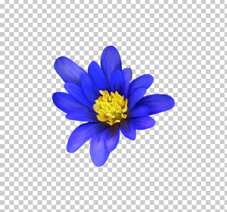 Flower Petal Email 0 Pin PNG, Clipart, 2017, Aster, Blog, Blue, Chrysanthemum Free PNG Download