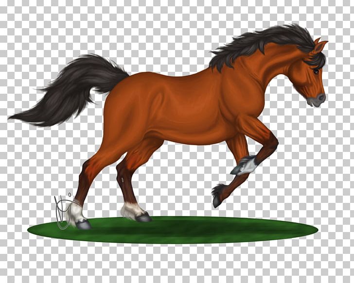 Mane Mustang Stallion Foal Mare PNG, Clipart, Animal Figure, Bridle, English Riding, Equestrian, Foal Free PNG Download