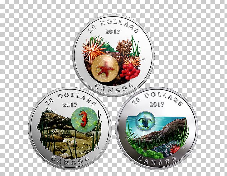 Silver Coin Gold Coin Royal Canadian Mint PNG, Clipart, Canada, Canadian Silver Maple Leaf, Christmas Ornament, Coin, Collecting Free PNG Download
