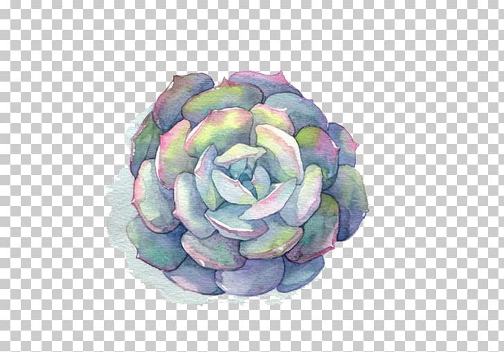 Watercolor Painting Succulent Plant Cactaceae PNG, Clipart, Cartoon, Color, Decoration, Drawing, Flower Free PNG Download