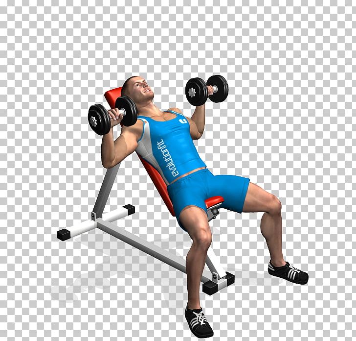 Weight Training Bench Press Barbell Dumbbell PNG, Clipart, Arm, Balance, Barbell, Biceps, Bodypump Free PNG Download