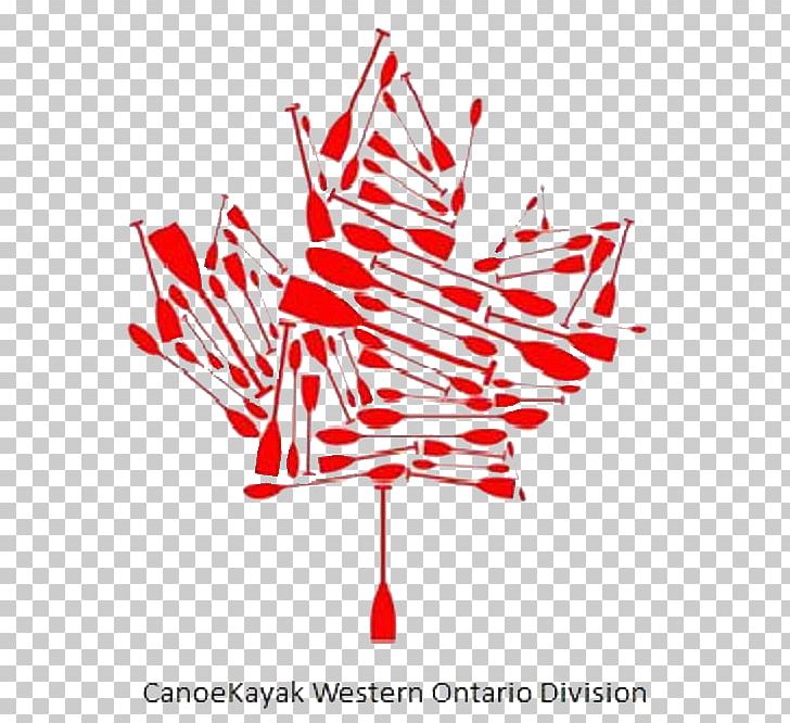 Canoe Kayak Canada Canoeing Canoe Sprint PNG, Clipart, Canada, Canoe, Canoeing, Canoeing And Kayaking, Canoe Sprint Free PNG Download
