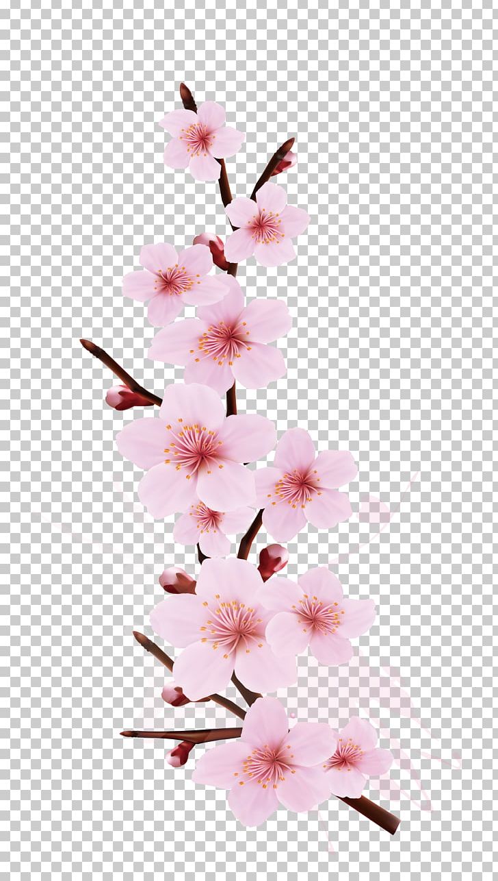 cherry blossom branch clip art