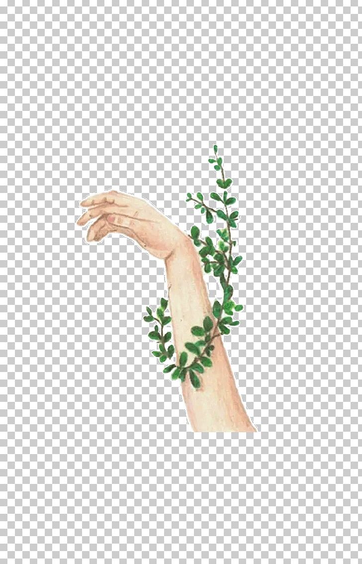 Drawing Hand Wound Illustration PNG, Clipart, Adobe Illustrator, Arm, Drawing, Encapsulated Postscript, English Ivy Free PNG Download