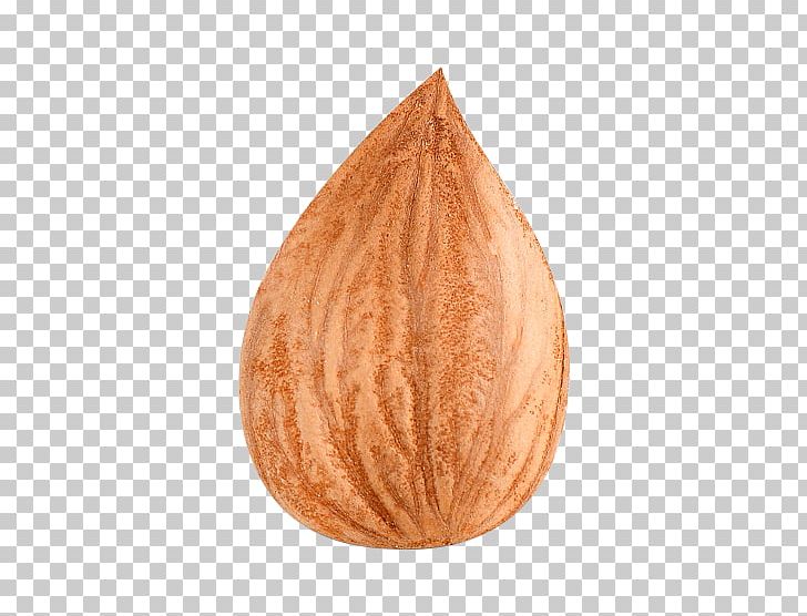Apricot Kernel Dried Fruit PNG, Clipart, Africa Map, Apricot, Apricot Kernel, Asia Map, Cartoon Free PNG Download