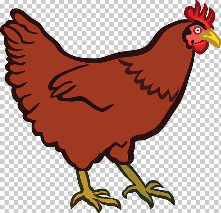 Cochin Chicken The Little Red Hen PNG, Clipart, Animals, Artwork, Beak, Bird, Chicken Free PNG Download