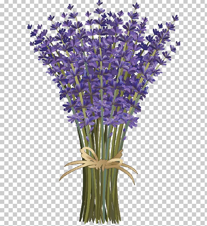 Lavender Flower Bouquet PNG, Clipart, Cartoon, Color, Cut Flowers, Drawing, English Lavender Free PNG Download