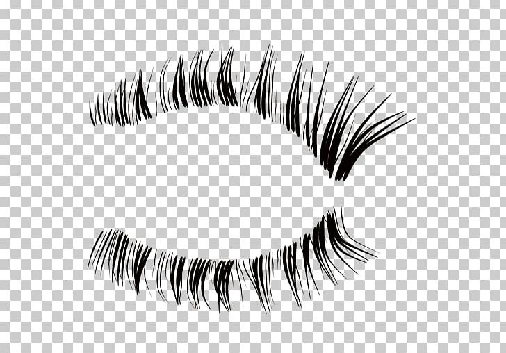 Eyelash Extensions Eyebrow Cosmetics PNG, Clipart, Artificial Hair Integrations, Beauty, Black And White, Black Hair, Cosmetics Free PNG Download