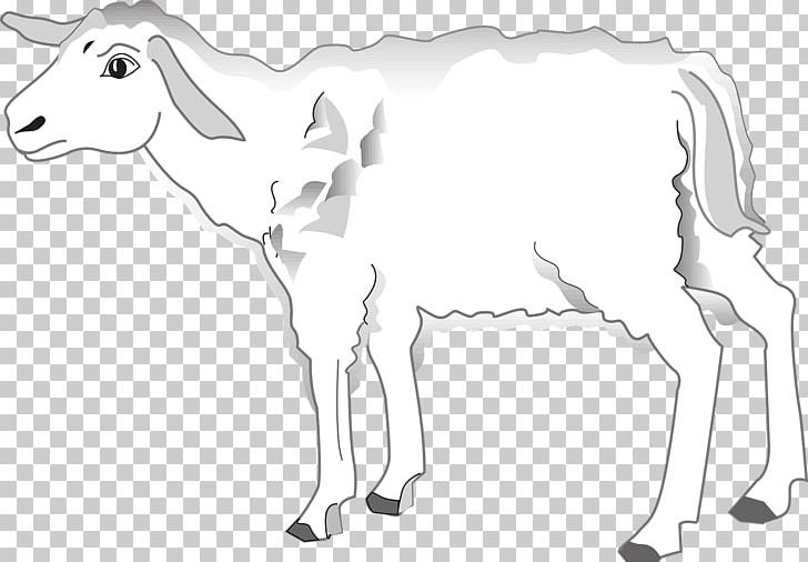 Sheep Cattle Goat PNG, Clipart, Animal Figure, Animals, Artwork, Black And White, Caprinae Free PNG Download