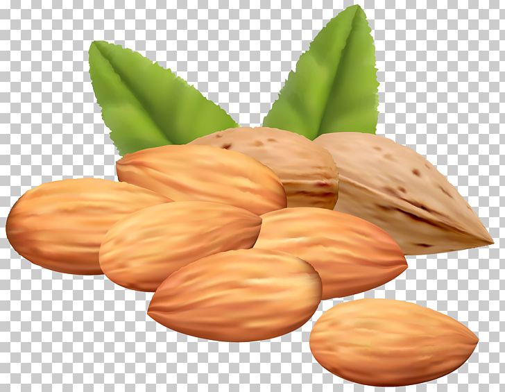 Almond Stock Photography PNG, Clipart, Almond, Almond Butter, Almond Paste, Clipart, Clip Art Free PNG Download