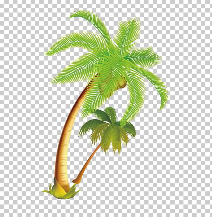 Arecaceae Coconut Tree PNG, Clipart, Arecales, Autumn Tree, Cartoon, Desktop Wallpaper, Download Free PNG Download