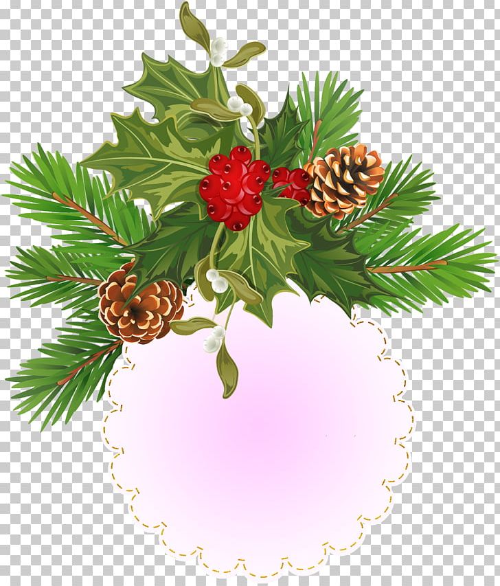 Christmas PNG, Clipart, Aquifoliaceae, Branch, Christmas, Christmas Decoration, Christmas Ornament Free PNG Download
