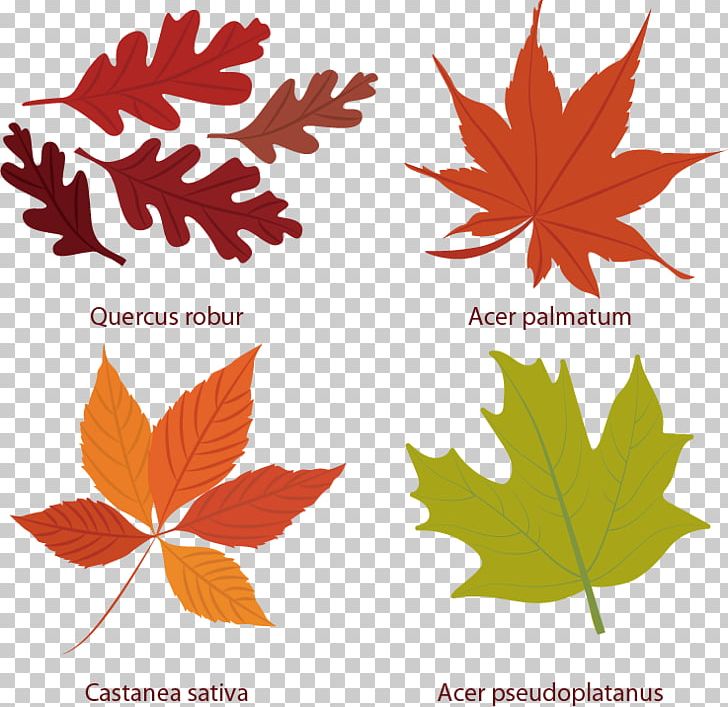 Euclidean Leaf Autumn Icon PNG, Clipart, Autumn, Autumn Leaves, Biological, Black And White, Computer Free PNG Download