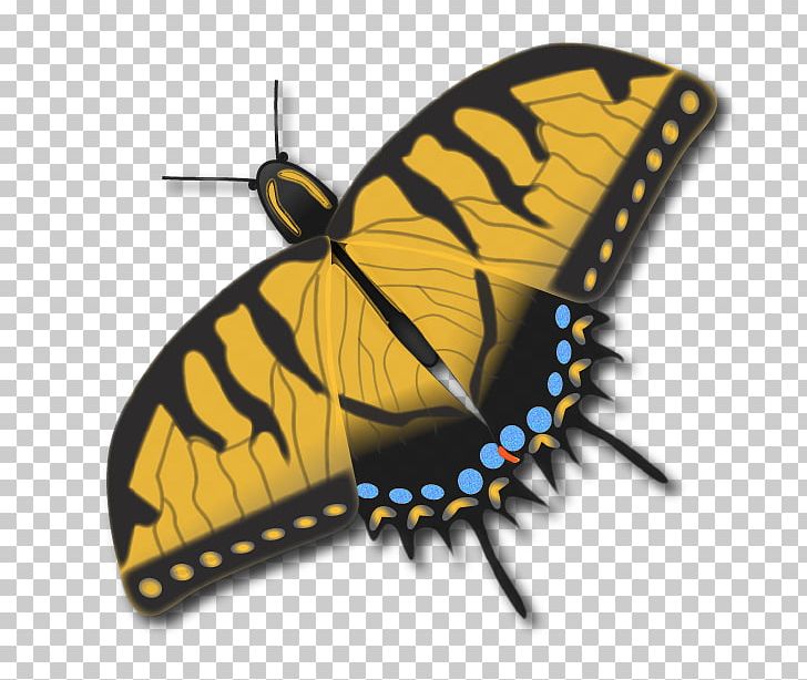 Monarch Butterfly Brush-footed Butterflies Pieridae Tiger Milkweed Butterflies PNG, Clipart, Arthropod, Brush Footed Butterfly, Butterfly, Insect, Insects Free PNG Download