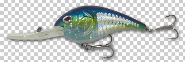 American Shad American Gizzard Shad Fish Keyword Tool United States PNG, Clipart, American Gizzard Shad, American Shad, Bait, Chartreuse, Dorosoma Free PNG Download