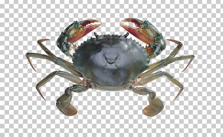 Crab Chart Computer File PNG, Clipart, Animals, Animal Source Foods, Arthropod, Cartoon Crab, Chesapeake Blue Crab Free PNG Download