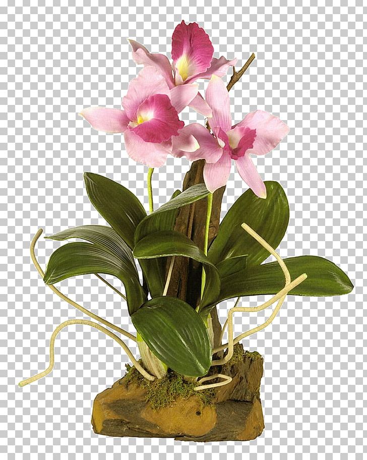Flower Vase PNG, Clipart, Animation, Artificial Flower, Blog, Cattleya, Color Free PNG Download