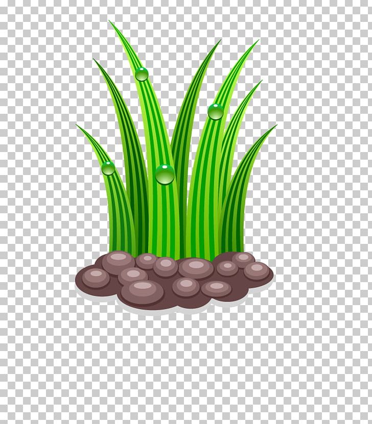 Gardening Watering Can PNG, Clipart, Background Green, Cartoon, Commodity, Euclidean Vector, Flower Garden Free PNG Download