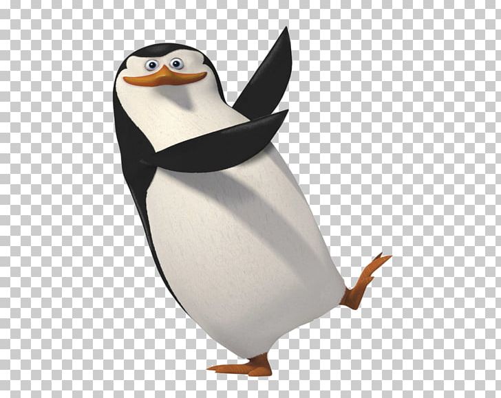 Penguin Madagascar Rico PNG, Clipart, Animals, Beak, Bird, Cartoon, Clip Art Free PNG Download