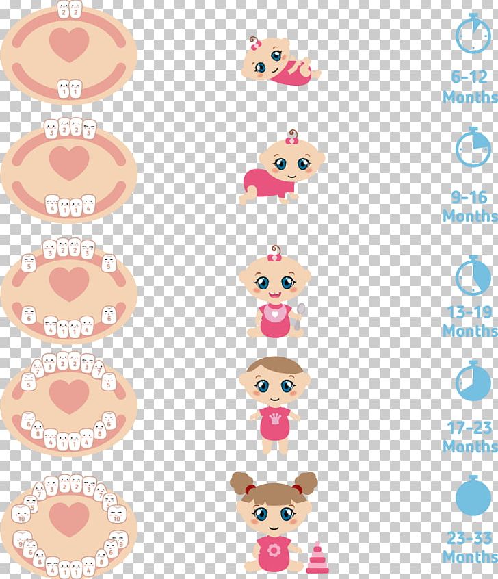 Teething Deciduous Teeth Infant Human Tooth Illustration PNG, Clipart, Baby, Baby Teeth, Balloon Cartoon, Body Jewelry, Boy Cartoon Free PNG Download