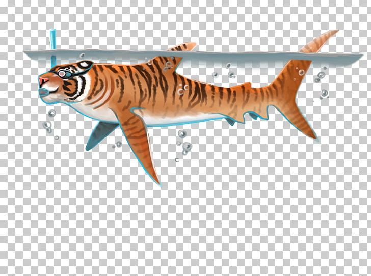 Tiger Shark Requiem Sharks PNG, Clipart, Art, Blog, Facebook, Fauna, Fish Free PNG Download