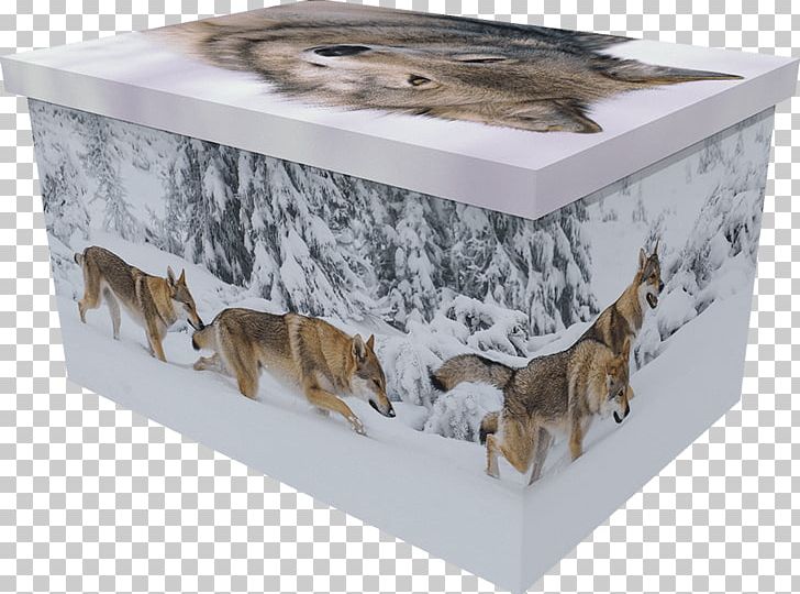 Coffin Pet Box Horse Dog PNG, Clipart, Animal, Box, Cardboard, Cat, Coffin Free PNG Download