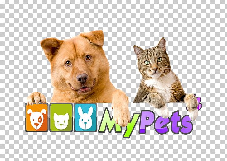 Dog Cat Pet Animal Steam Cleaning PNG, Clipart,  Free PNG Download
